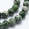 Natural Green Spot Jasper Beads Strands G-I199-30-10mm-3
