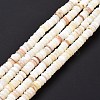 Shell Beads Strands SSHEL-E571-49I-6