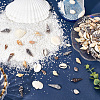 8 Style Shell/Starfish/Conch Ornament DJEW-SC0001-06-3