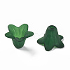 Transparent Acrylic Beads PLF018-09-3