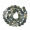 Natural Moss Agate Beads Strands X-G-R445-8x10-01-2