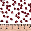Glass Seed Beads SEED-A010-4mm-45B-4