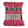 10 Skeins 6-Ply Polyester Embroidery Floss OCOR-K006-A56-1