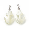 Natural Trochid Shell/Trochus Shell Pendants SSHEL-K027-13-1