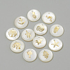 Freshwater Shell Pendants SHEL-Q010-G-1