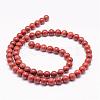Natural Red Jasper Bead Strands G-K153-B19-6mm-2