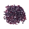 Natural Garnet Beads G-I221-15-1
