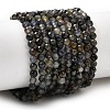 Natural Iolite Beads Strands G-G343-B01-3mm-2