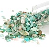 Natural Amazonite Chip Beads G-FS0001-16-3