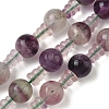 Natural Fluorite 3-Hole Guru Beads Strands G-H064-E10-01-1