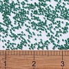 MIYUKI Delica Beads SEED-X0054-DB0656-4