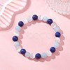 Dyed Natural Quartz & Sesame Jasper Beaded Stretch Bracelets for Women Men BJEW-JB13403-1