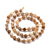 Natural Fossil Coral Beads Strands G-P463-48-3