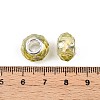 Transparent Glass European Beads GPDL-N004-D14mm-A03-3