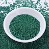 MIYUKI Delica Beads X-SEED-J020-DB0656-2