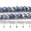Natural Blue Spot Jasper Beads Strands G-K380-A02-01-5