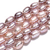 Natural Cultured Freshwater Pearl Beads Strands PEAR-N012-03L-4