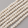 Natural Cultured Freshwater Pearl Beads Strands PEAR-G007-33-1