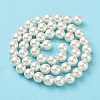 Shell Pearl Bead Strands BSHE-L026-03-8mm-4