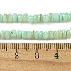 Dyed Natural Freshwater Shell Beads Strands X1-BSHE-G039-07E-4