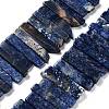 Natural Sodalite Beads Strands G-L551B-16-1