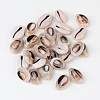 Natural Cowrie Shell Beads BSHE-S053-1