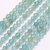 Natural Apatite Beads Strands G-I156-05-3mm-1