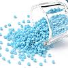 Glass Seed Beads SEED-A010-2mm-43-1