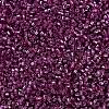 MIYUKI Delica Beads X-SEED-J020-DB2162-3