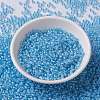 MIYUKI Round Rocailles Beads SEED-G008-RR0221-2