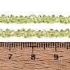 Transparent Glass Beads Strands GLAA-N018-3mm-30-4