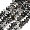 Natural Tourmalinated Quartz Beads Strands GG-CBA3A44-B01-01-2