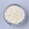 Glass Cylinder Beads SEED-Q036-01A-D32-2