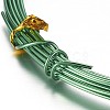 Round Aluminum Craft Wire AW-D009-0.8mm-10m-25-2