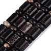 Natural Biotite Beads Strands G-Q616-09B-2