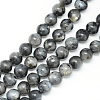 Natural Larvikite Beads Strands X-G-R345-8mm-33-1