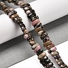 Natural Rhodonite Beads Strands G-Q167-B07-01-2
