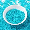 MIYUKI Round Rocailles Beads X-SEED-G008-RR4480-2