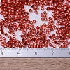 MIYUKI Delica Beads SEED-JP0008-DB0043-2