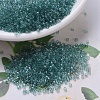 MIYUKI Delica Beads X-SEED-J020-DB0112-1