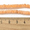 Dyed Natural Freshwater Shell Beads Strands X1-BSHE-G039-07A-4