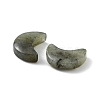 Natural Labradorite Beads X-G-NH0001-01D-2