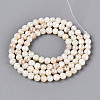 AB Color Natural Freshwater Shell Beads Strands BSHE-T014-40C-2