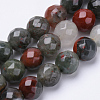 Natural African Bloodstone Beads Strands G-S281-21-8mm-1