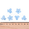 Transparent Acrylic Beads X-PLF018-06-4