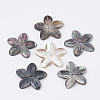 Natural Black Lip Shell Beads SHEL-S269-70-1