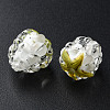 Handmade Lampwork Beads LAMP-T011-14F-3