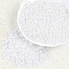 500Pcs Transparent Glass Seed Beads SEED-PA0001-08A-6