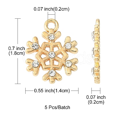 Alloy Pendants ALRI-YW0001-12-1