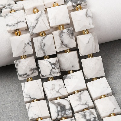 Natural Howlite Beads Strands G-F839-A35-01-1